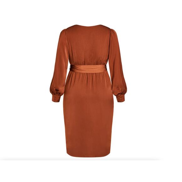 NWT City Chic Dress Opulent Cocoa XL = 22 = 3x - Picture 4 of 5